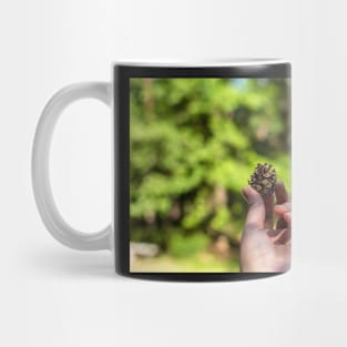 Hand holding pine cone Mug